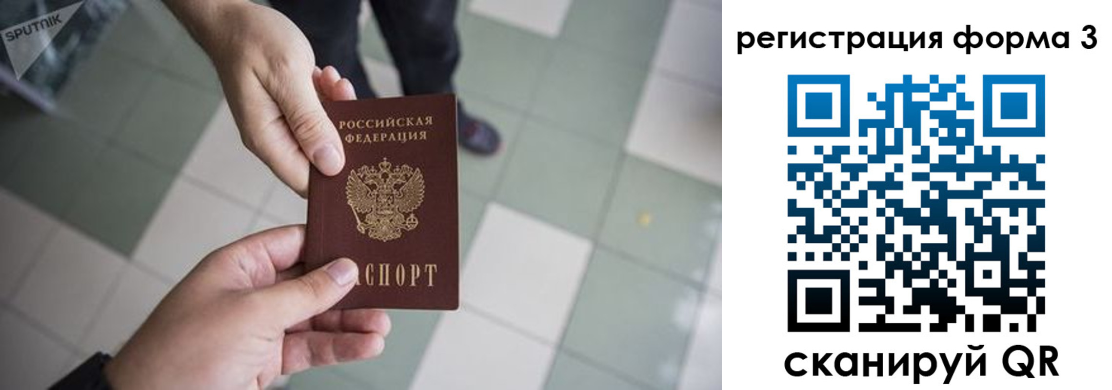 прописка от собственника в Волосово